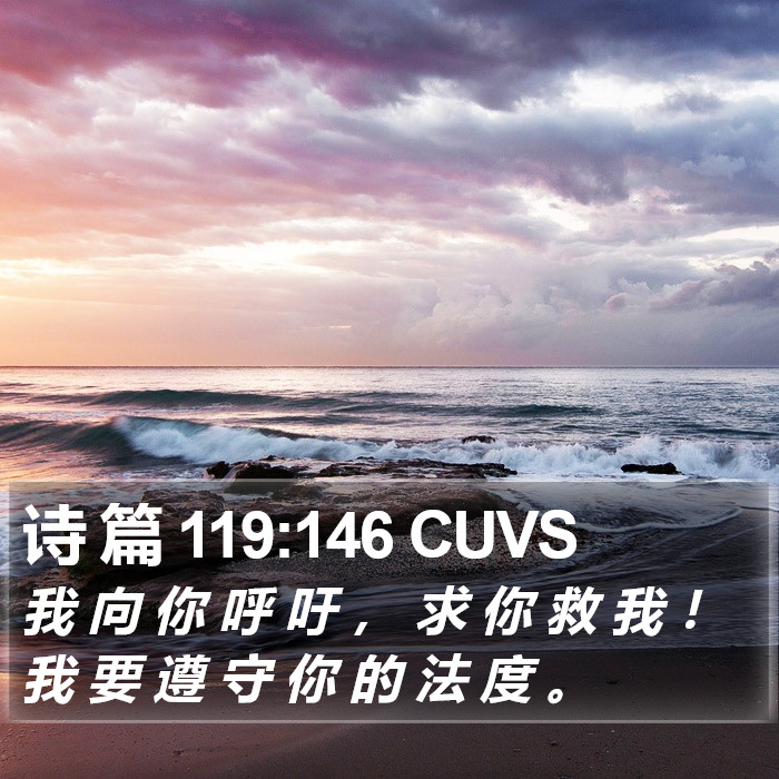 诗 篇 119:146 CUVS Bible Study