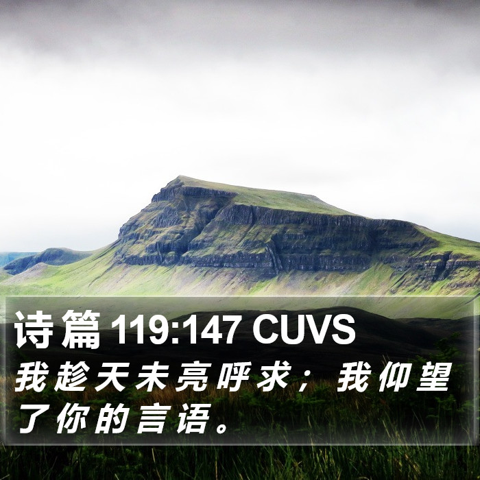 诗 篇 119:147 CUVS Bible Study