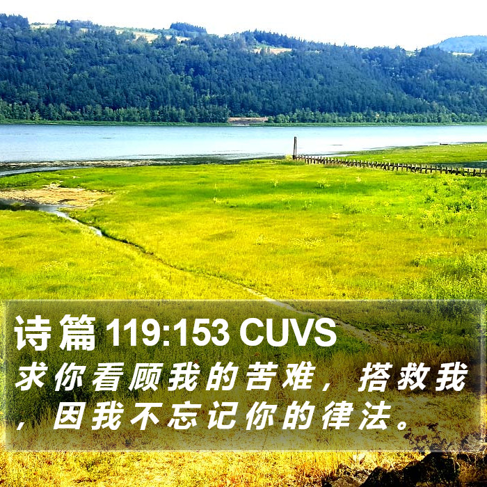 诗 篇 119:153 CUVS Bible Study