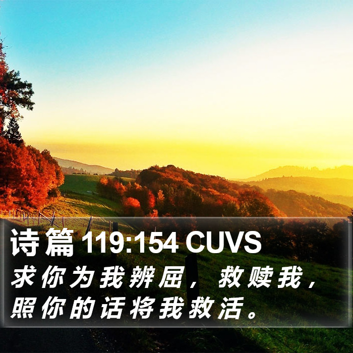 诗 篇 119:154 CUVS Bible Study