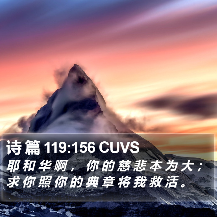 诗 篇 119:156 CUVS Bible Study