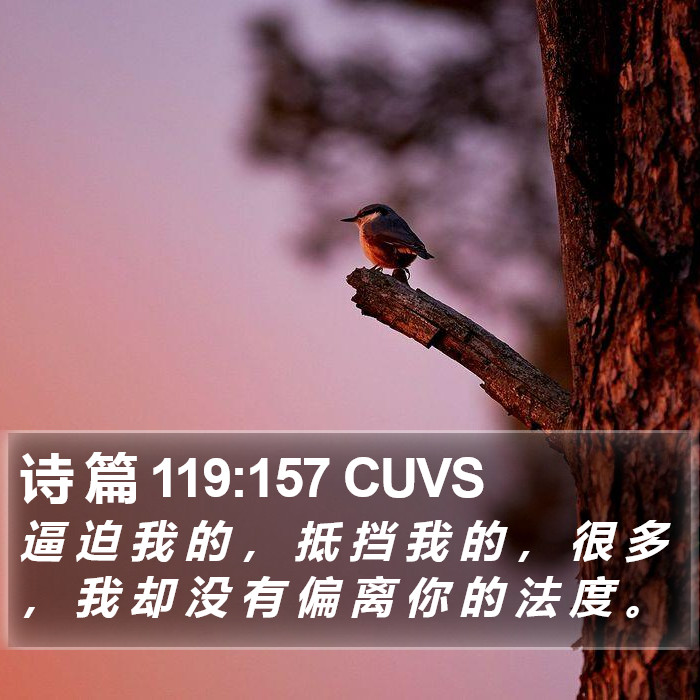 诗 篇 119:157 CUVS Bible Study