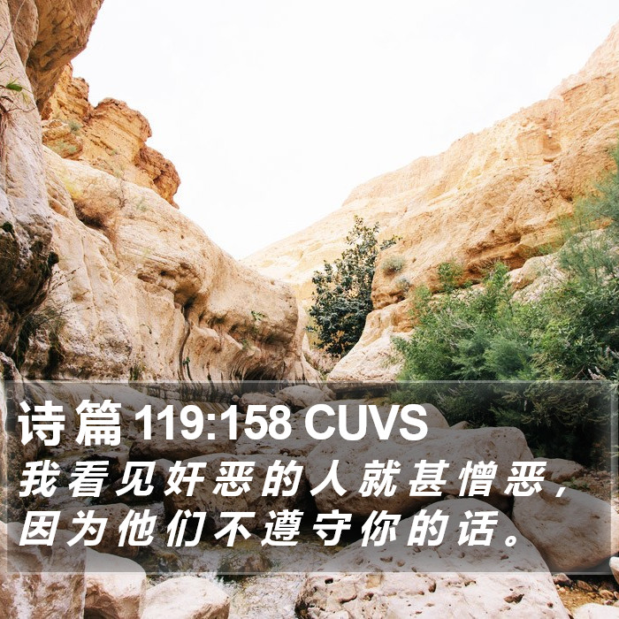 诗 篇 119:158 CUVS Bible Study