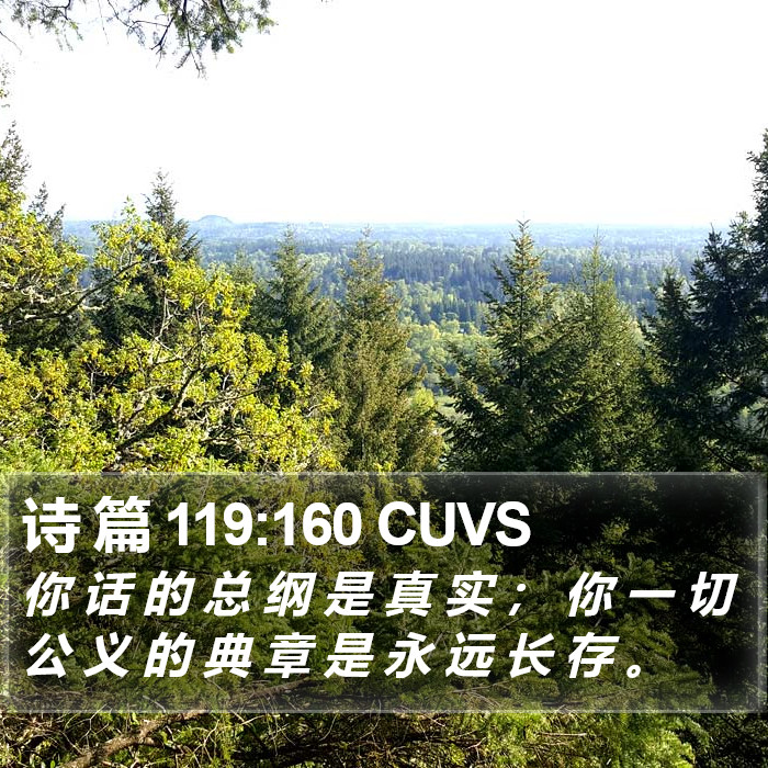 诗 篇 119:160 CUVS Bible Study