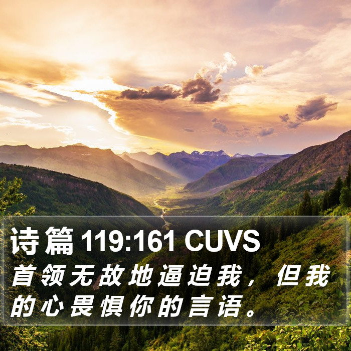 诗 篇 119:161 CUVS Bible Study