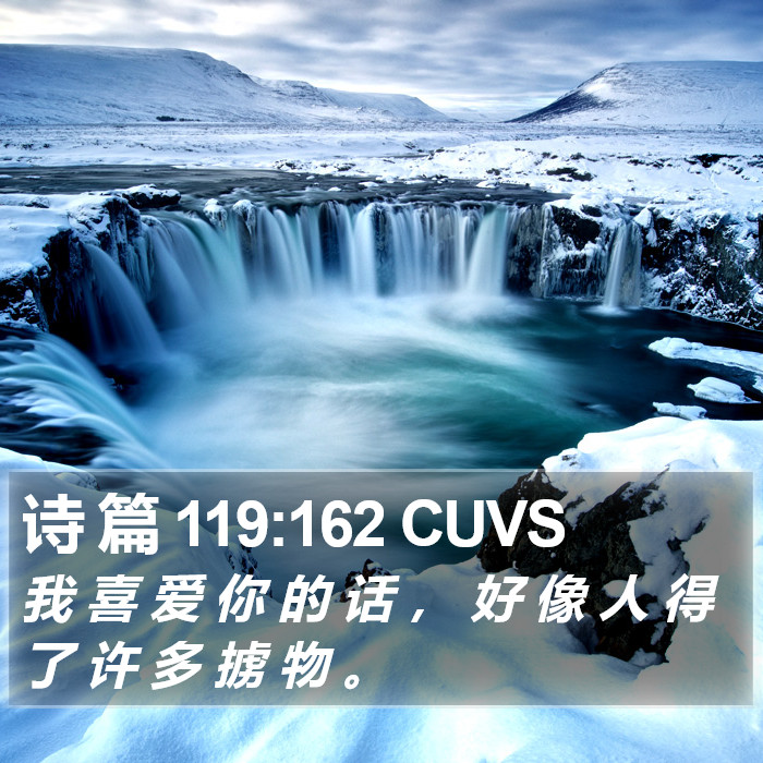 诗 篇 119:162 CUVS Bible Study