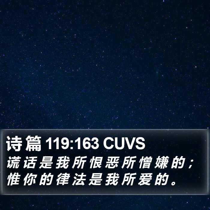 诗 篇 119:163 CUVS Bible Study