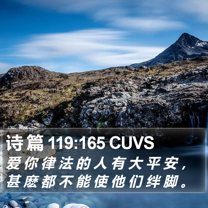 诗 篇 119:165 CUVS Bible Study