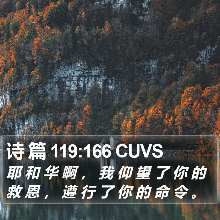 诗 篇 119:166 CUVS Bible Study