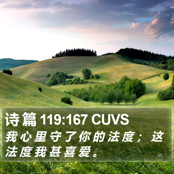 诗 篇 119:167 CUVS Bible Study