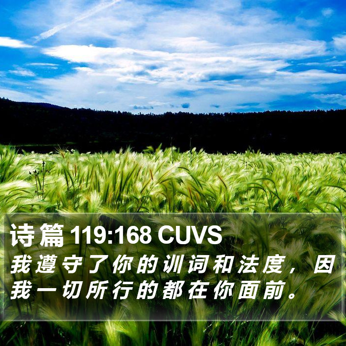 诗 篇 119:168 CUVS Bible Study