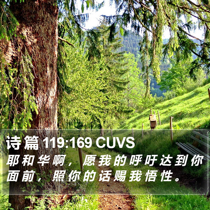 诗 篇 119:169 CUVS Bible Study