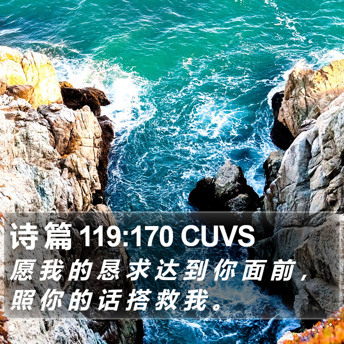 诗 篇 119:170 CUVS Bible Study