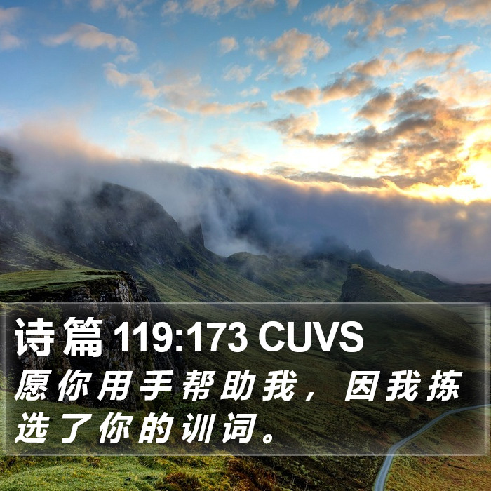 诗 篇 119:173 CUVS Bible Study