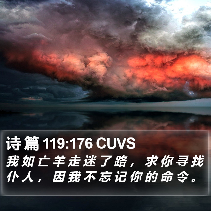 诗 篇 119:176 CUVS Bible Study