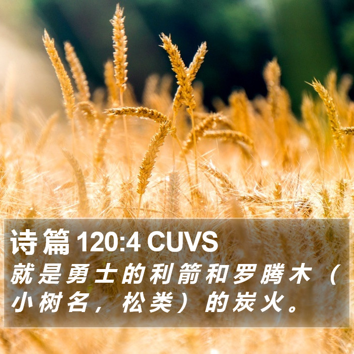 诗 篇 120:4 CUVS Bible Study