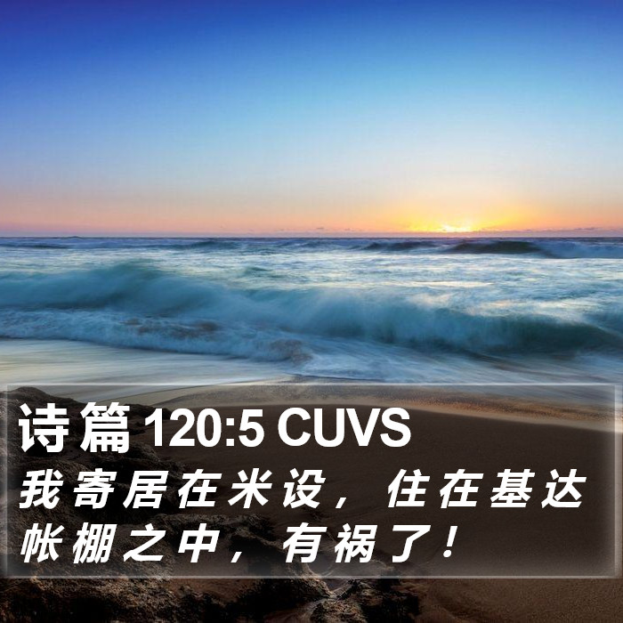 诗 篇 120:5 CUVS Bible Study
