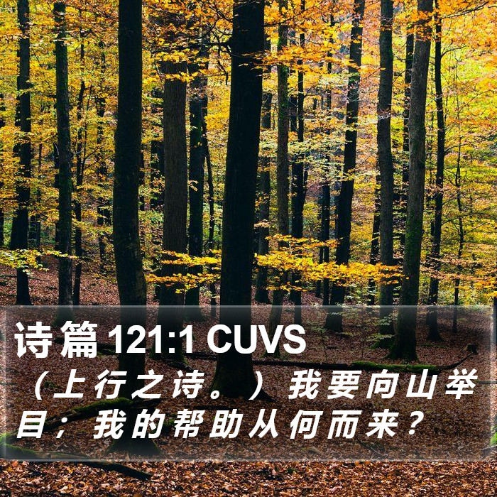 诗 篇 121:1 CUVS Bible Study