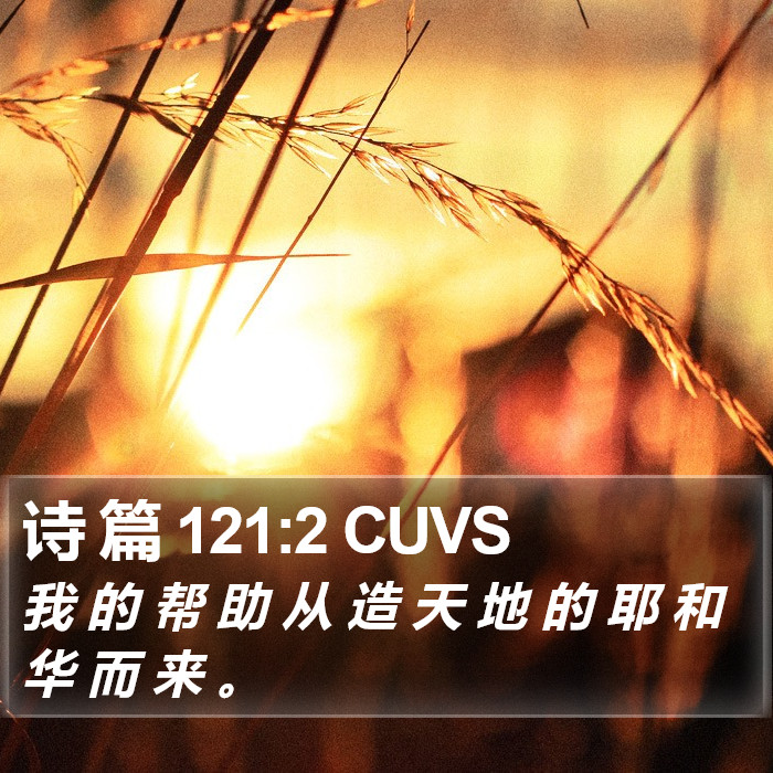 诗 篇 121:2 CUVS Bible Study