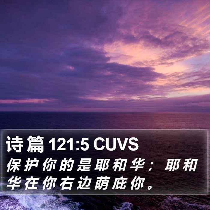 诗 篇 121:5 CUVS Bible Study