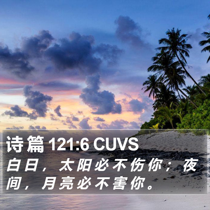 诗 篇 121:6 CUVS Bible Study