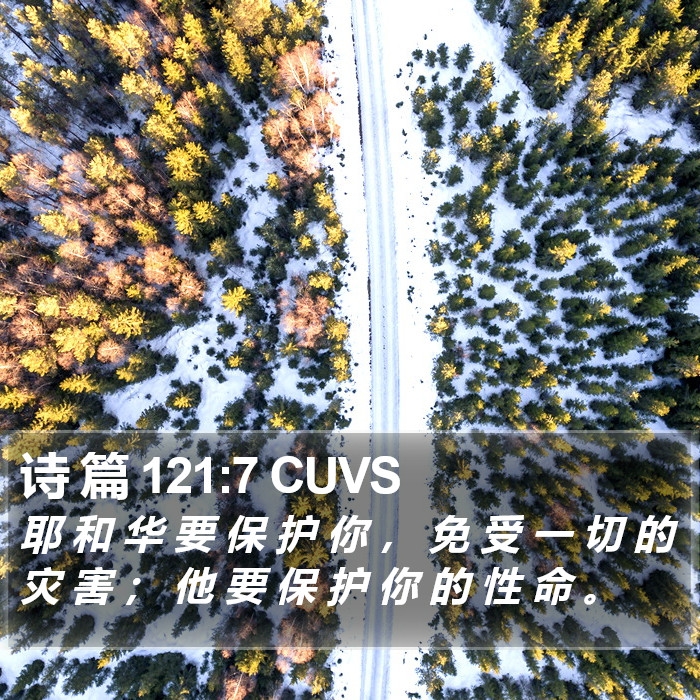 诗 篇 121:7 CUVS Bible Study