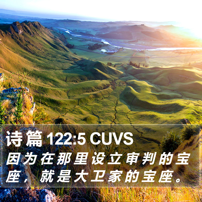 诗 篇 122:5 CUVS Bible Study