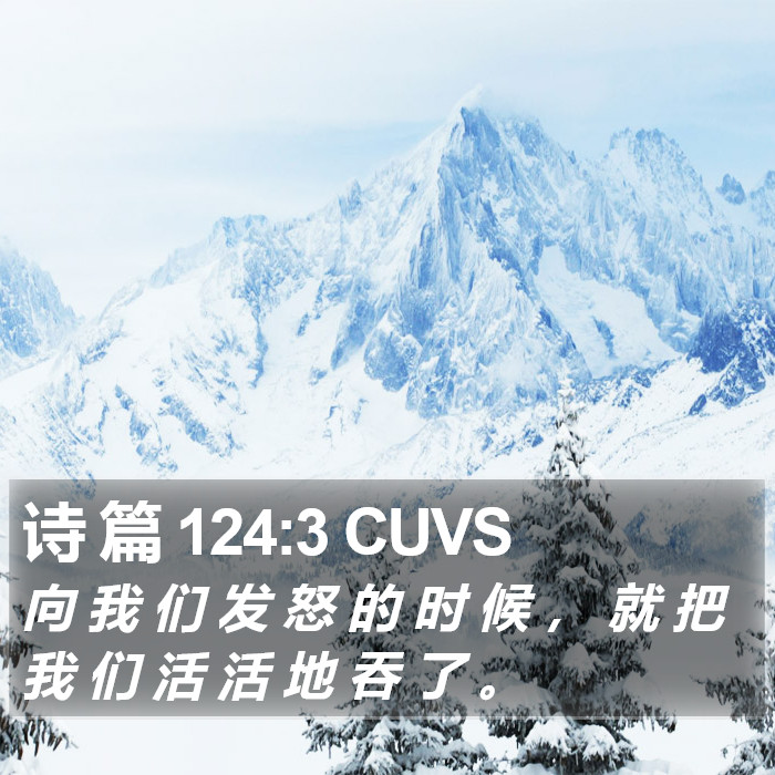 诗 篇 124:3 CUVS Bible Study