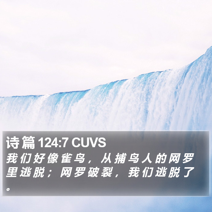 诗 篇 124:7 CUVS Bible Study