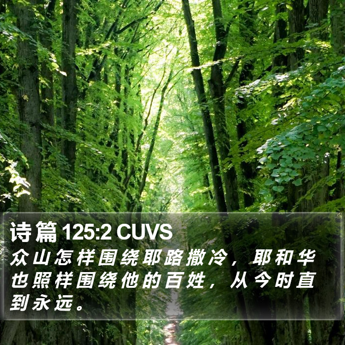 诗 篇 125:2 CUVS Bible Study