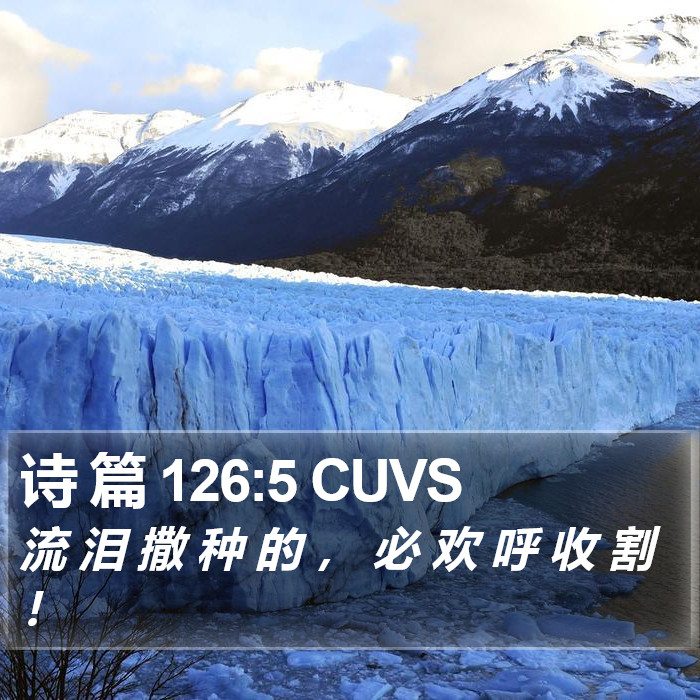 诗 篇 126:5 CUVS Bible Study