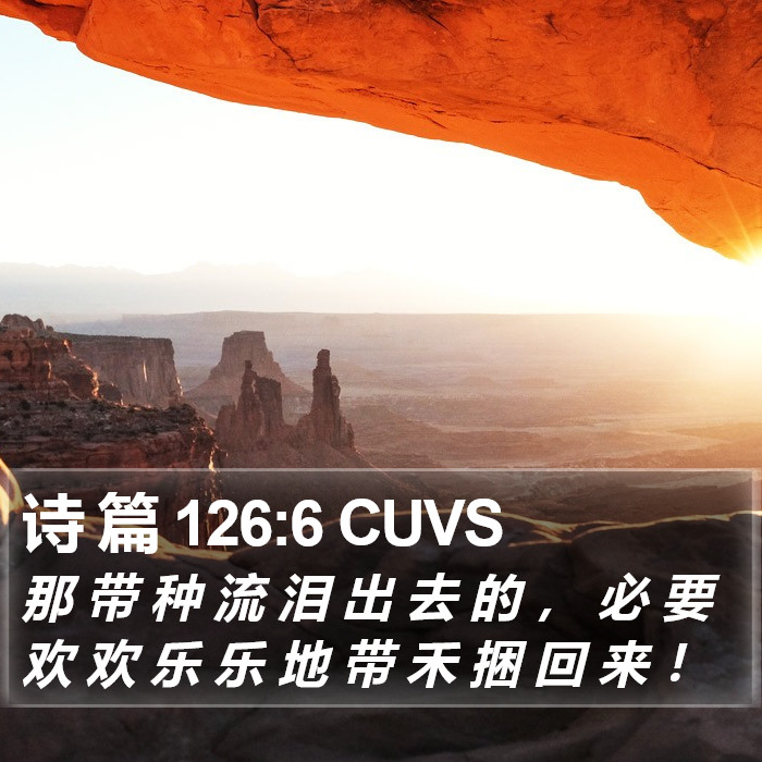 诗 篇 126:6 CUVS Bible Study