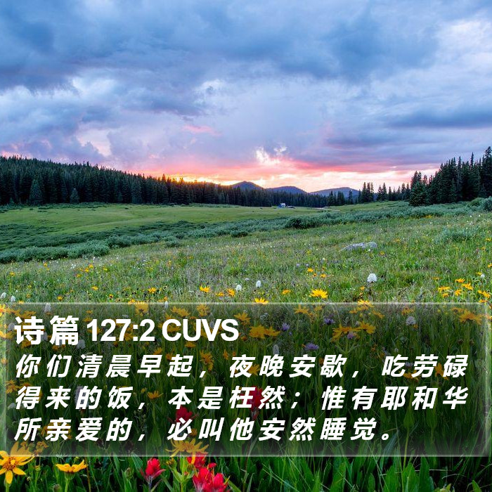 诗 篇 127:2 CUVS Bible Study