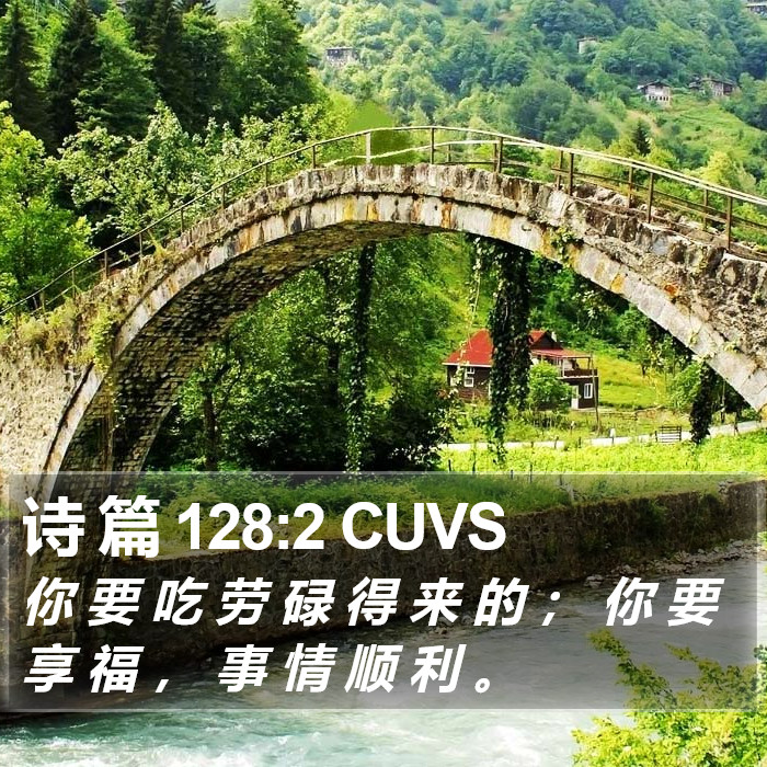 诗 篇 128:2 CUVS Bible Study