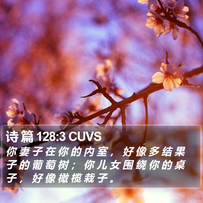 诗 篇 128:3 CUVS Bible Study