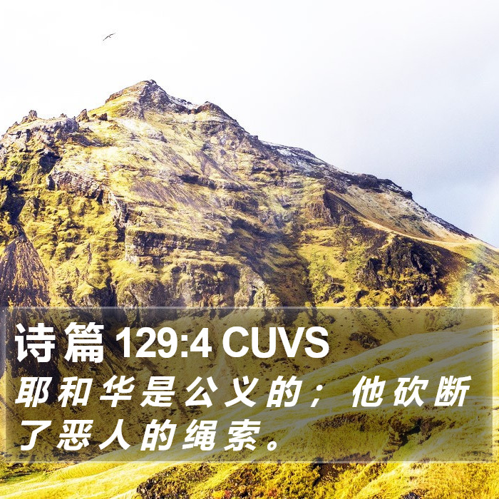 诗 篇 129:4 CUVS Bible Study