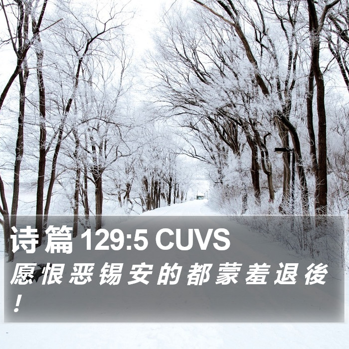 诗 篇 129:5 CUVS Bible Study