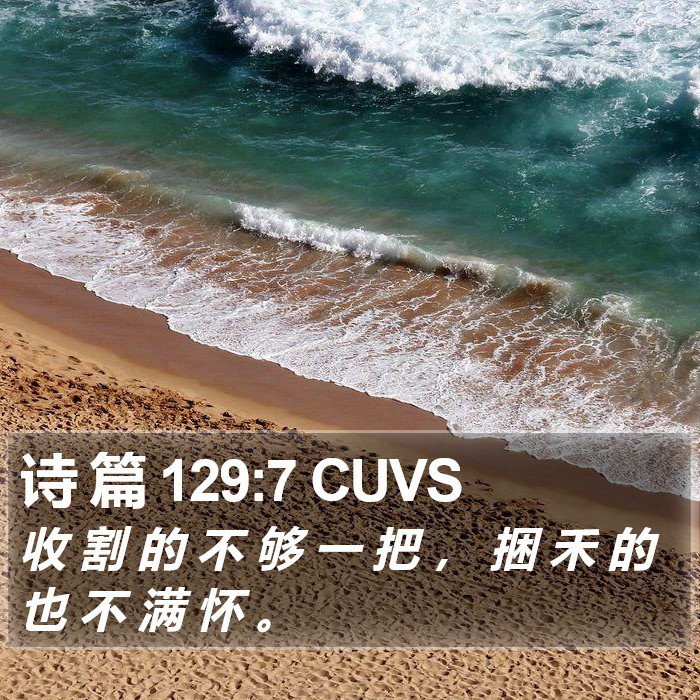 诗 篇 129:7 CUVS Bible Study