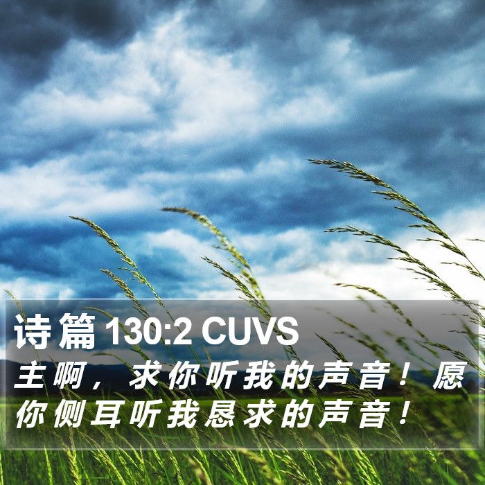 诗 篇 130:2 CUVS Bible Study