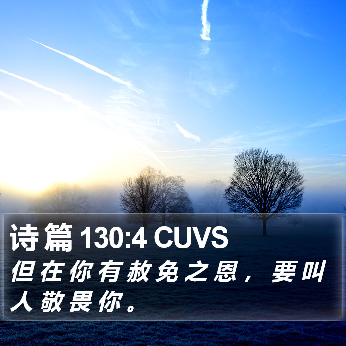 诗 篇 130:4 CUVS Bible Study
