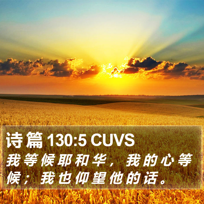 诗 篇 130:5 CUVS Bible Study