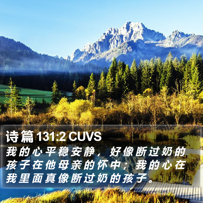 诗 篇 131:2 CUVS Bible Study