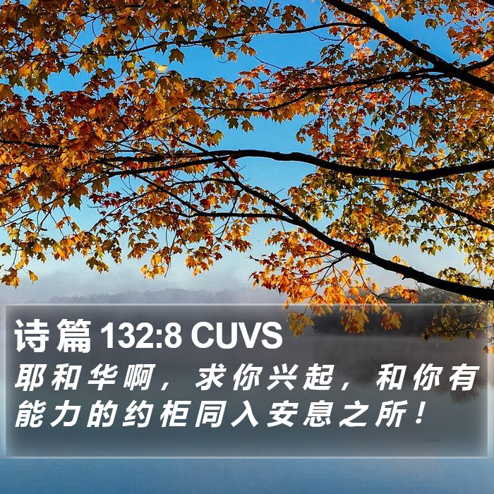 诗 篇 132:8 CUVS Bible Study