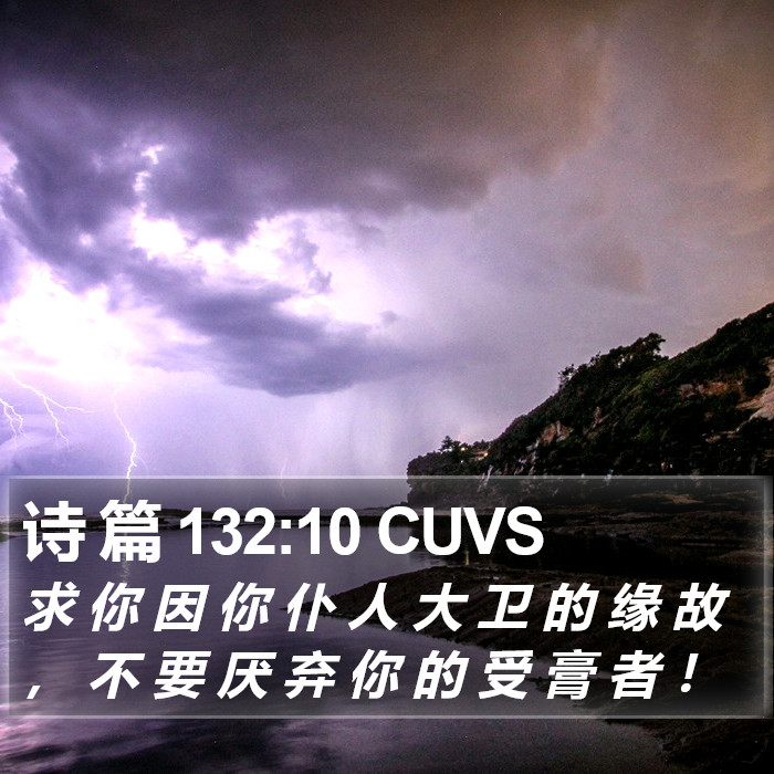 诗 篇 132:10 CUVS Bible Study