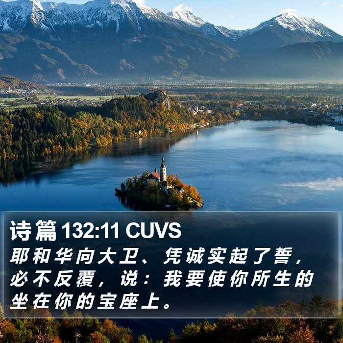 诗 篇 132:11 CUVS Bible Study