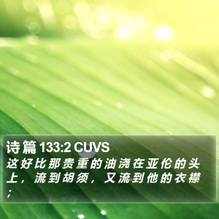 诗 篇 133:2 CUVS Bible Study