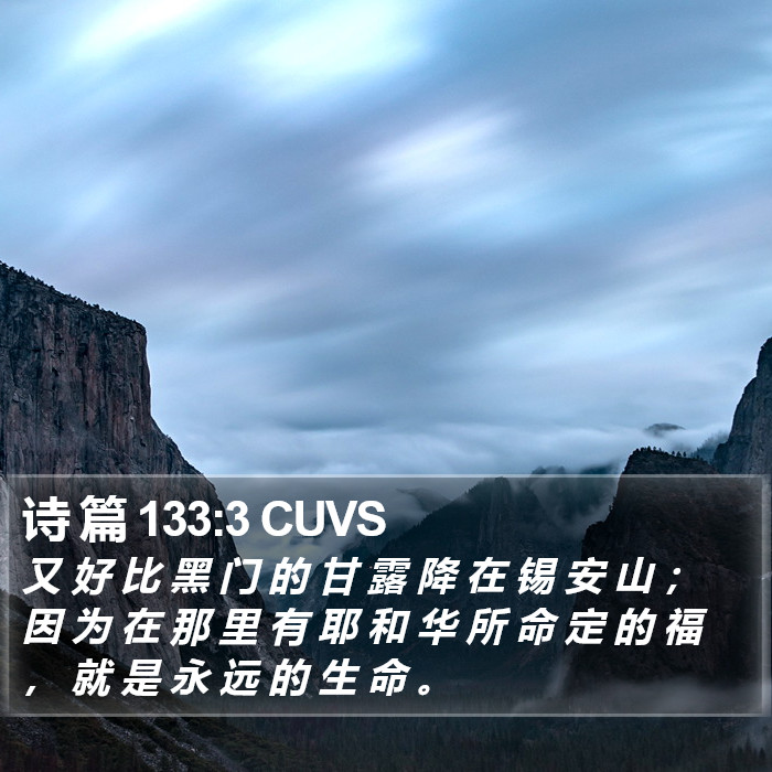 诗 篇 133:3 CUVS Bible Study
