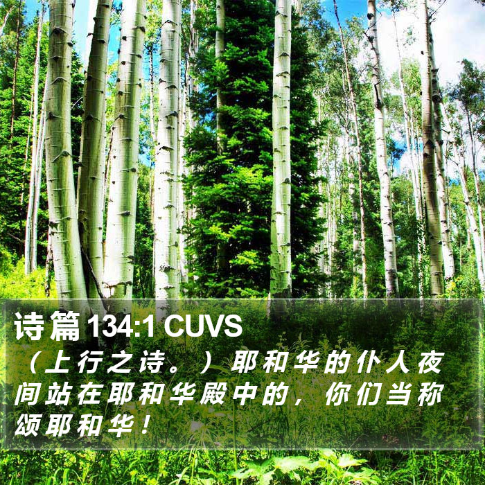 诗 篇 134:1 CUVS Bible Study