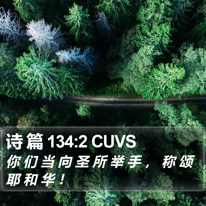 诗 篇 134:2 CUVS Bible Study