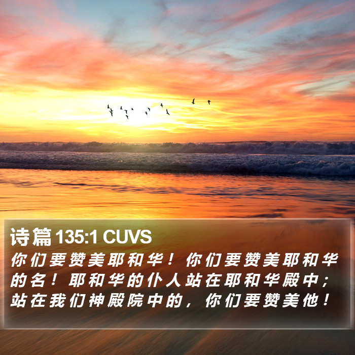 诗 篇 135:1 CUVS Bible Study